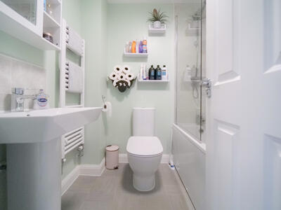 Picture 11